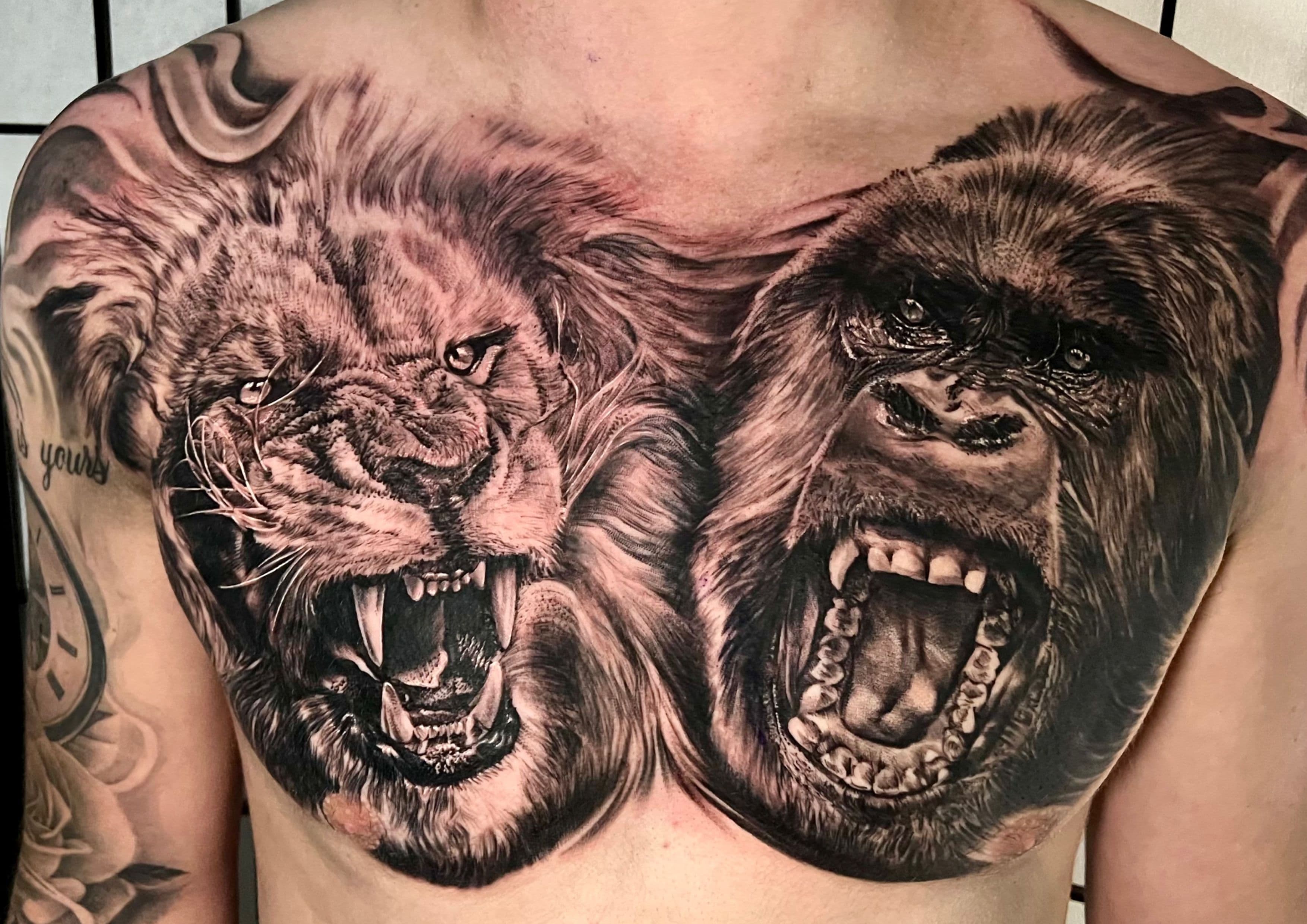 Leone e gorilla